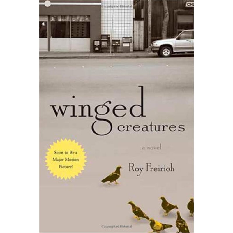 预售图书，下单后4-8周左右发货！