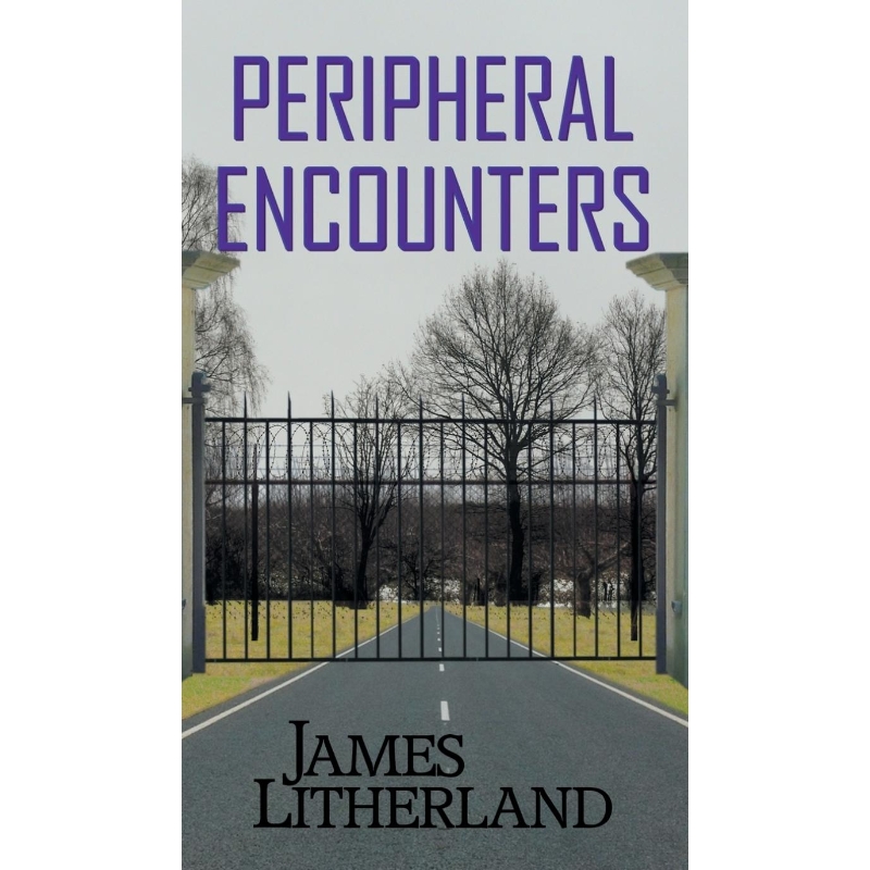 预订，预计下单后2-3周左右发货！