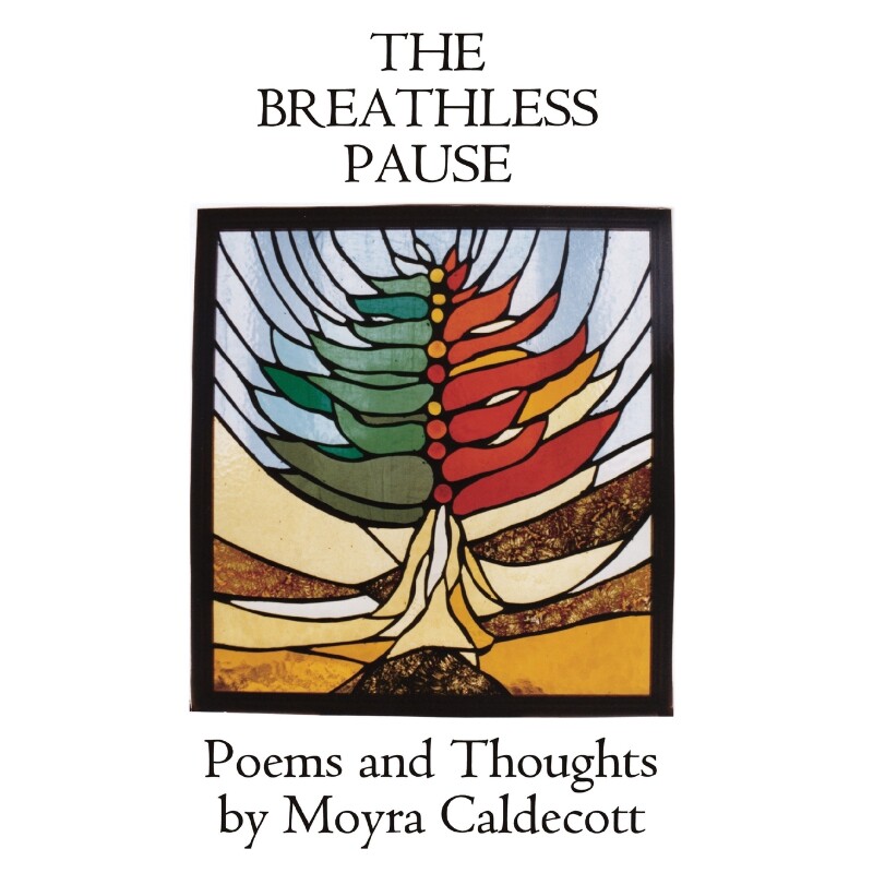 按需印刷不退不换The Breathless Pause[9781843194286]