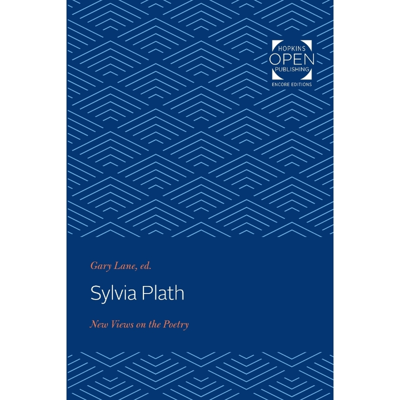 预订，预计下单后2-3周左右发货！