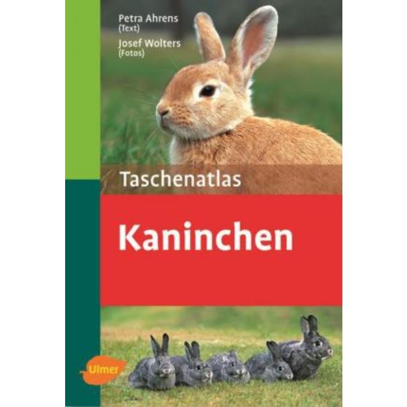 预订，预计下单后3-6周左右发货！