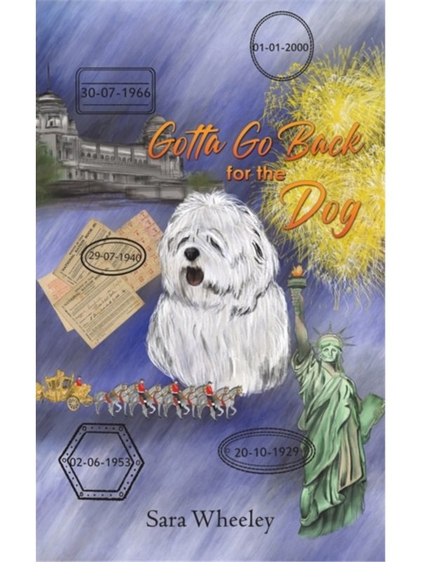 预订，预计下单后4-6周左右发货