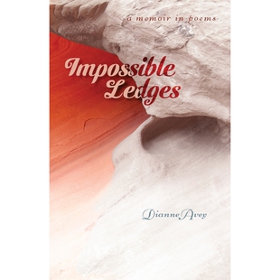 按需印刷不退不换Impossible Ledges[9781948461238]