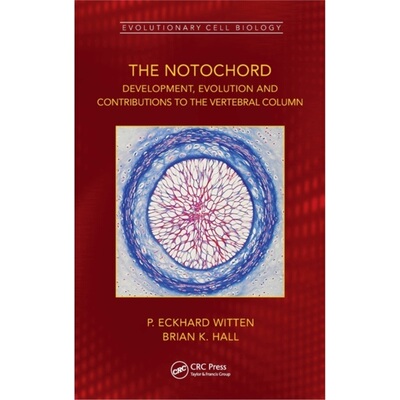 预订Notochord[9781498787918]