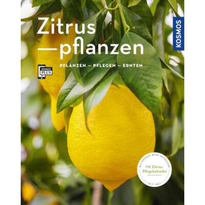 预订不退不换德语 Zitruspflanzen (Mein Garten):gestalten - pflanzen - ernten