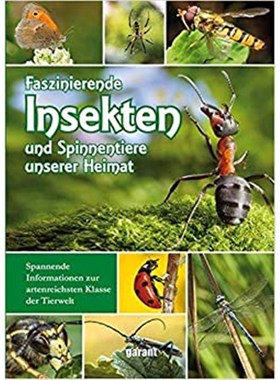 预订【德语】 Faszinierende Insekten und Spinnentiere unserer Heimat:Spannende Informat