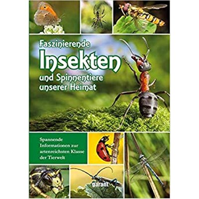 预订【德语】 Faszinierende Insekten und Spinnentiere unserer Heimat:Spannende Informat