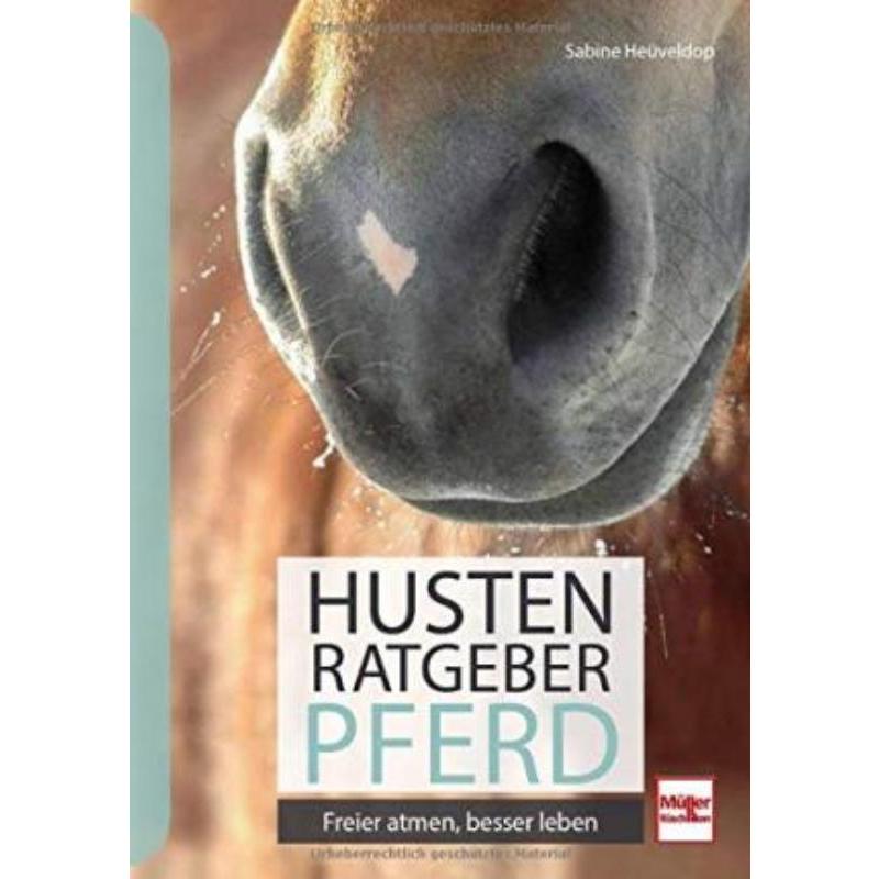 预订，预计下单后3-6周左右发货！