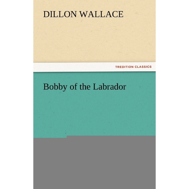 预订，预计下单后2-3周左右发货！