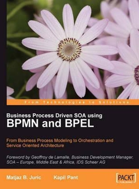 按需印刷不退不换Business Process Driven Soa Using Bpmn and Bpel[9781847191465]
