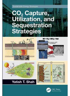 按需印刷不退不换TF CO2 Capture, Utilization, and Sequestration Strategies[9781032124803]