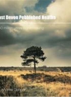 预订East Devon Pebblebed Heaths:240 Million Years in the Making