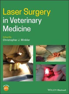 按需印刷不退不换Laser Surgery in Veterinary Medicine[9781119486015]