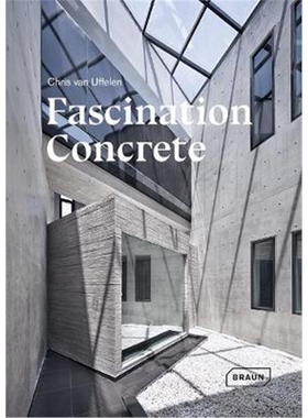进口艺术 Fascination Concrete