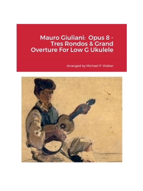 预订,预计下单后3-6周左右发货!