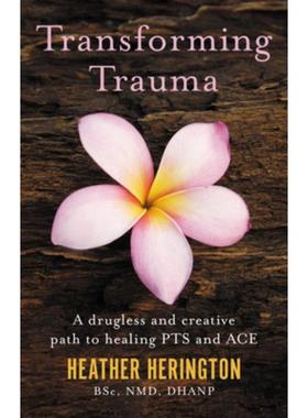 预订Transforming Trauma:A drugless and creative path to healing PTS and ACE