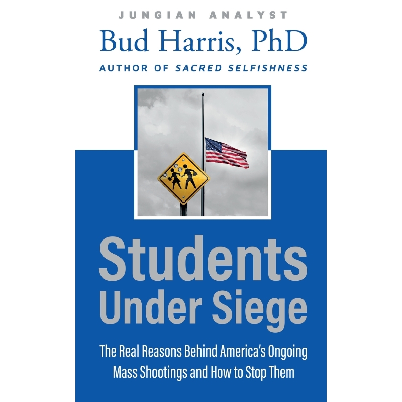 预订，预计下单后2-3周左右发货！