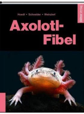 预订【德语】 Axolotl-Fibel:Ein Exot erobert unsere Aquarien