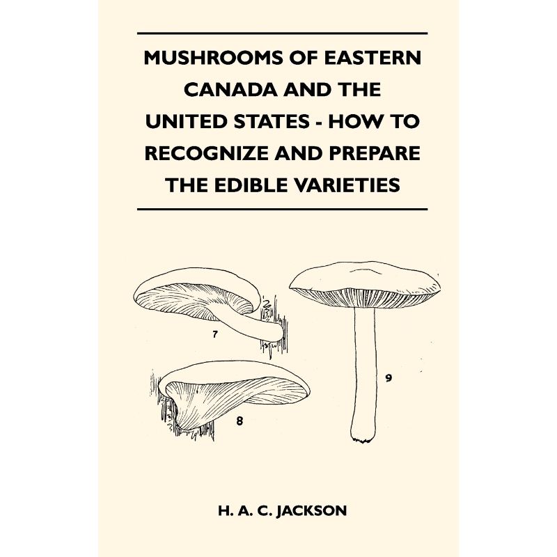 预订，预计下单后2-3周左右发货！