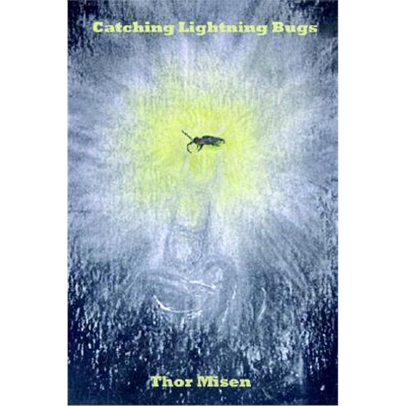 预订不退不换Catching Lightning Bugs