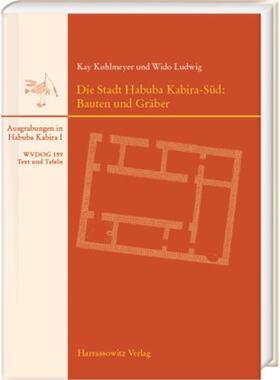 预订【德语】Die Stadt Habuba Kabira-Sud: Bauten und Graber[9783447116664]