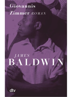 预订【德语】Giovanni's Room[9783423147910]