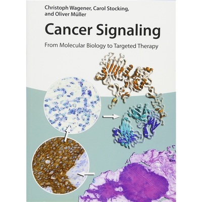预订Cancer Signaling: From Molecular Biology to Targeted Therapy[9783527336586]