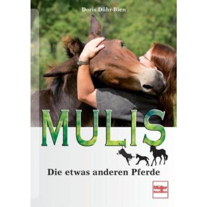 预订，预计下单后3-6周左右发货！