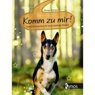 einen Rückruf Wochen Kurs Sechs Komm mir sicheren 预订 für 德语