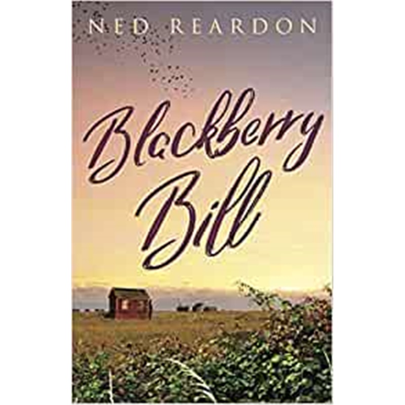 预订，预计下单后2-3周左右发货！