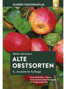 预订【德语】 Alte Obstsorten:Schnittbilder, Stein- und Samenabbildungen in Originalgrö