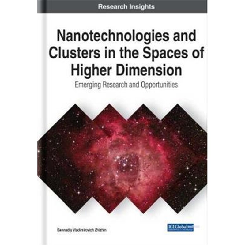 按需印刷不退不换Nanotechnologies and Clusters in the Spaces of Higher Dimension[9781799837848]