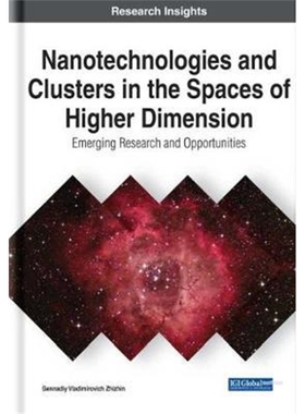 按需印刷不退不换Nanotechnologies and Clusters in the Spaces of Higher Dimension[9781799837848]