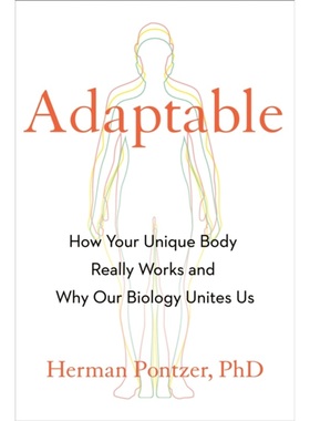 预售【2025新书】ADAPTABLE[9780593539309]