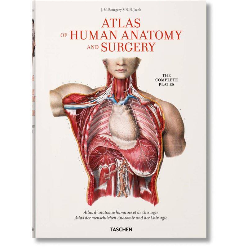 Bourgery: Atlas of Human Anatomy and Surgery