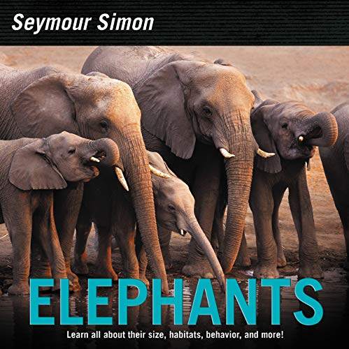 Elephants (November 2018)