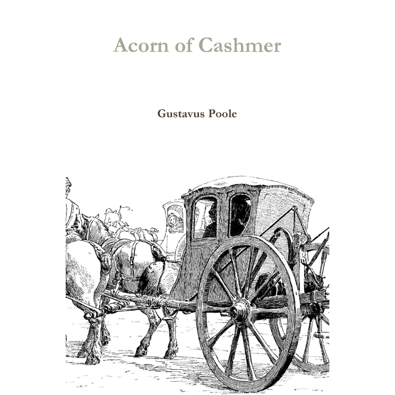 预订，预计下单后2-3周左右发货！