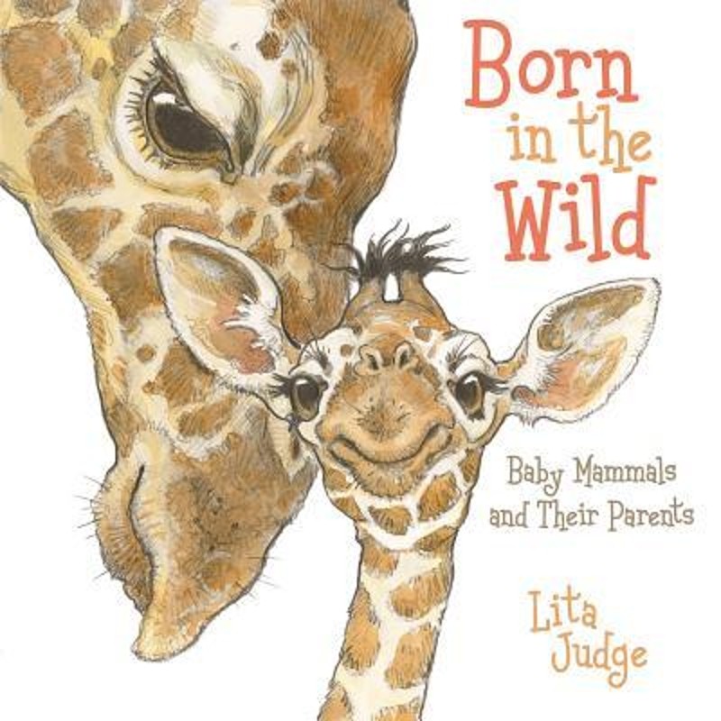 预订born in the wild:baby animals and their parents
