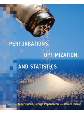 按需印刷Perturbations, Optimization, and Statistics