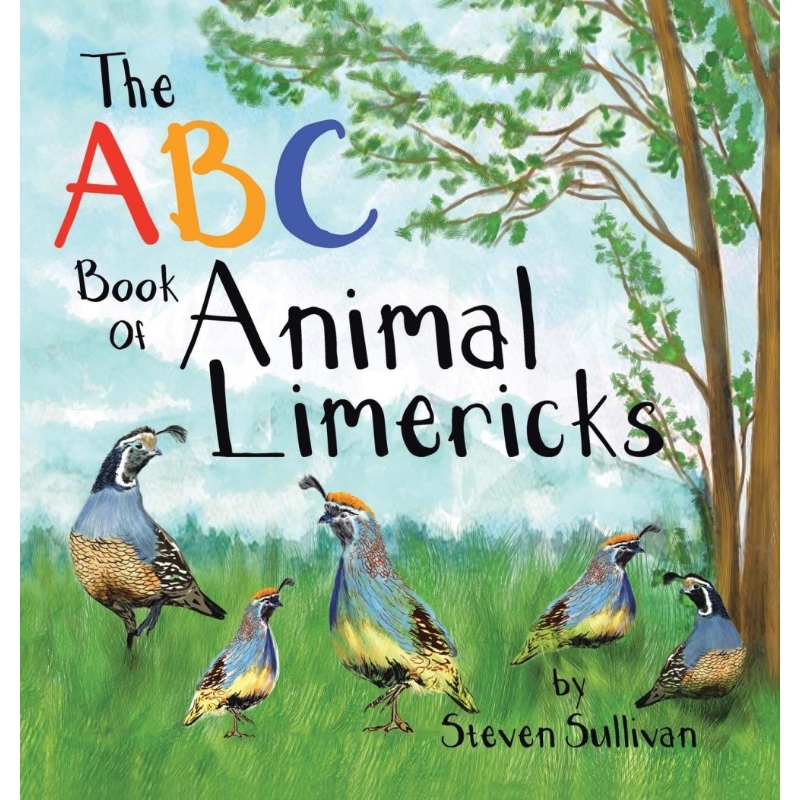 预订，预计下单后2-3周左右发货！