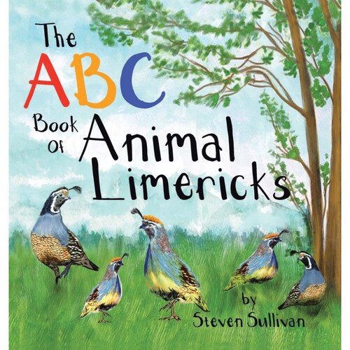 预订，预计下单后2-3周左右发货！