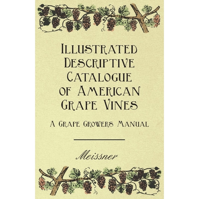 预订，预计下单后2-3周左右发货！