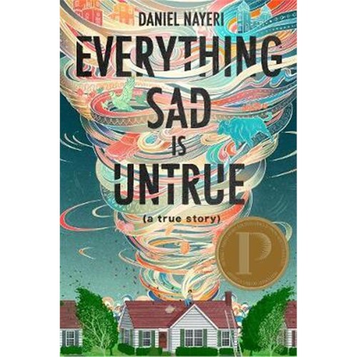 英文原版 Everything Sad Is Untrue (a true story) 所有的悲伤都是不真实的 少年成长 英文原版 Daniel Nayeri 精装