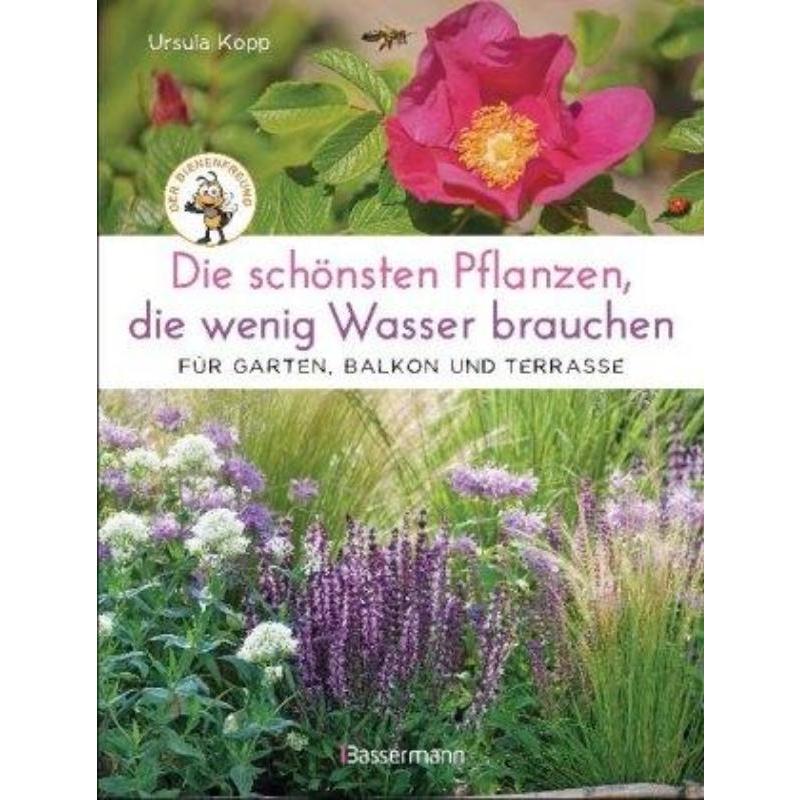 预订，预计下单后3-6周左右发货！