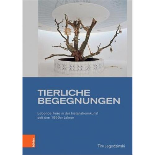 预订，预计下单后3-6周左右发货！