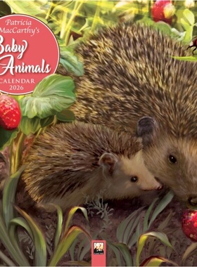 预订Patricia MacCarthy's Baby Animals Wall Calendar 2026 (Art Calendar)[9781835623558]