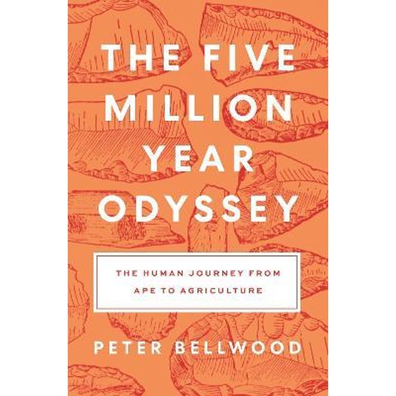 预订the five-million-year odyssey:the human journey from ape to