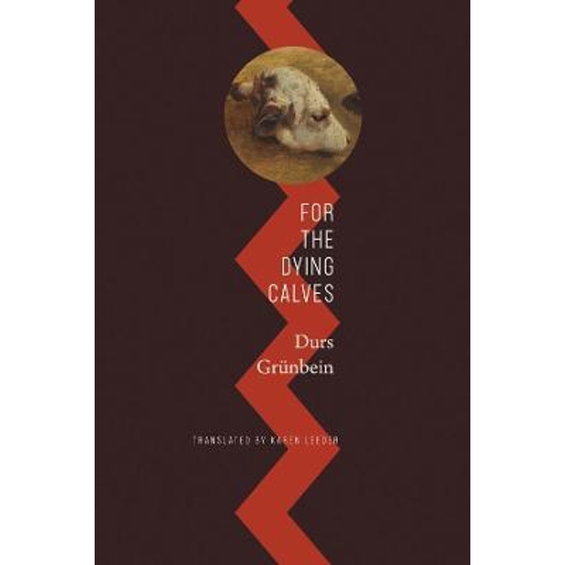 预订for the dying calves:beyond literature: oxford lectures