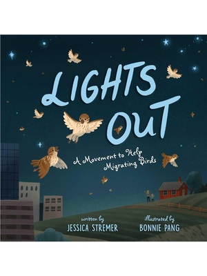 预售【2024新书】Lights Out[9781665931977]