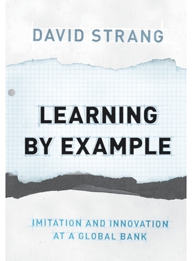 按需印刷Learning by Example[9780691142180]